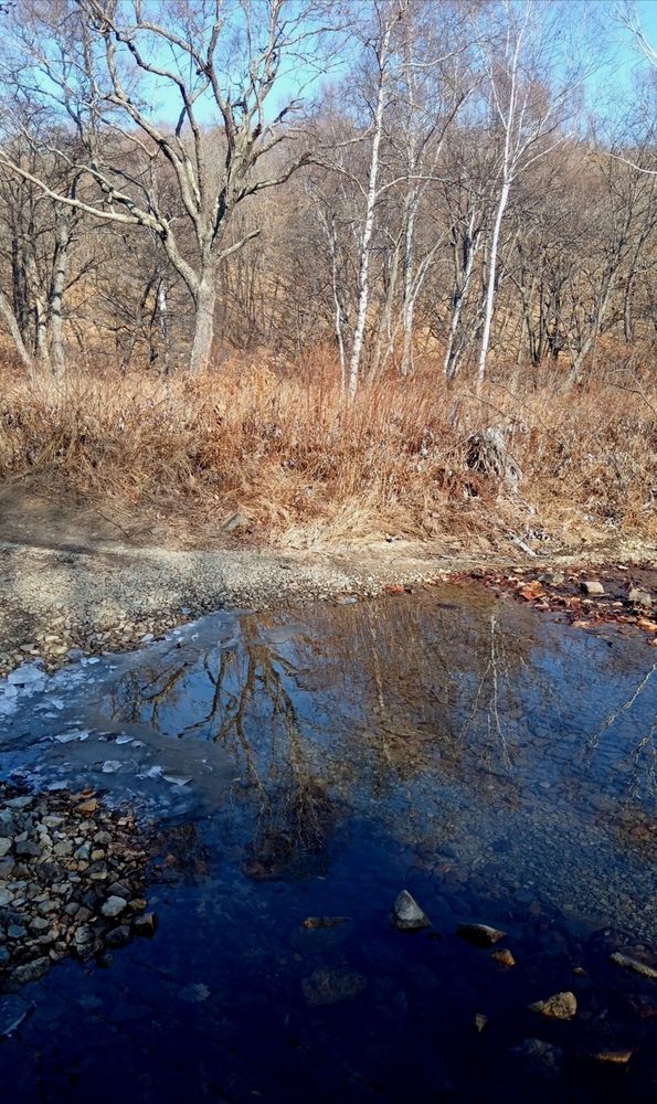 Photo #13245976