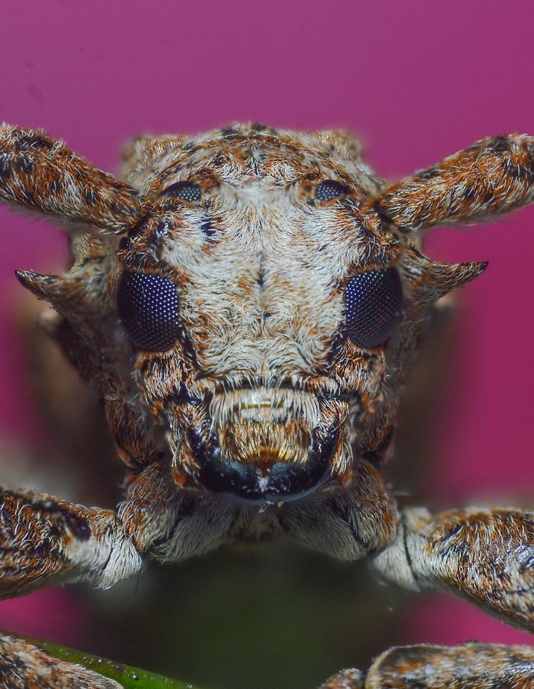 Photograph by Kasun Wickramasinghe