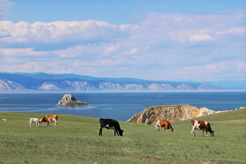 Байкальская пастораль