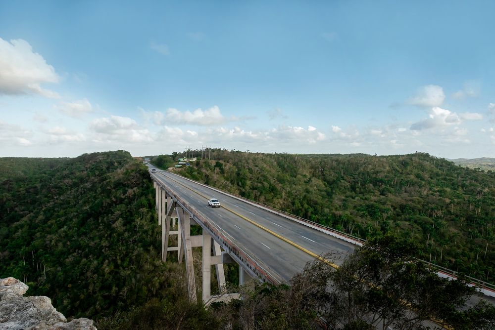 Jungle Bridge/Мост через джунгли