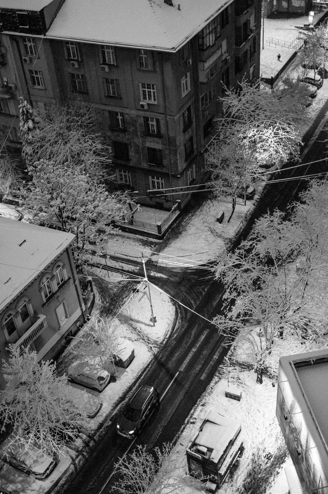 Photograph by Natalia Vitovtova