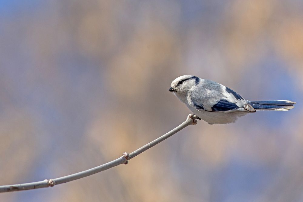Photograph by Сосновских Вячеслав