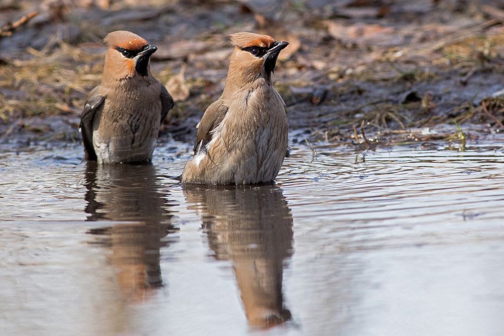 Photograph by Сосновских Вячеслав