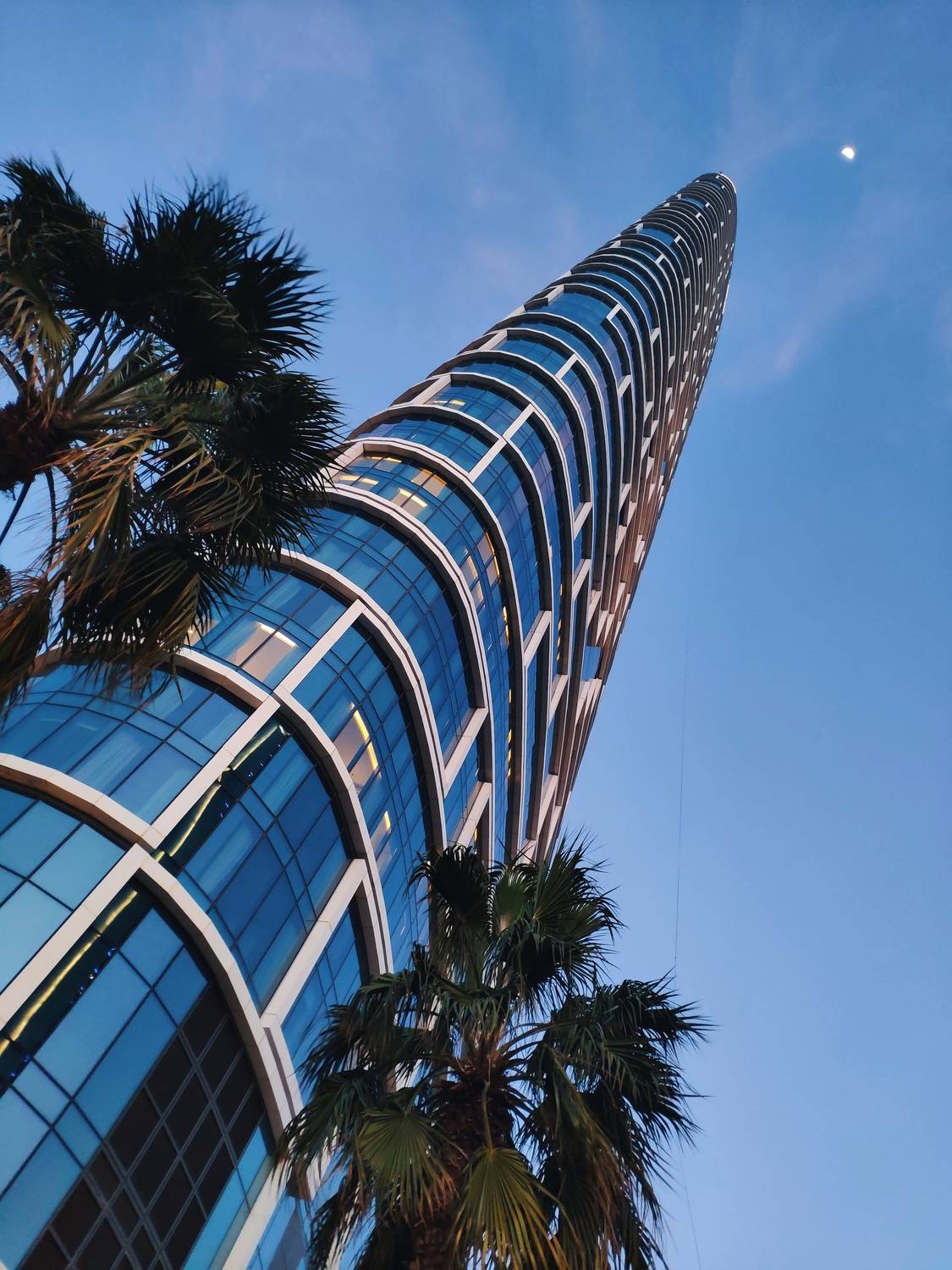 Устремлённый к луне