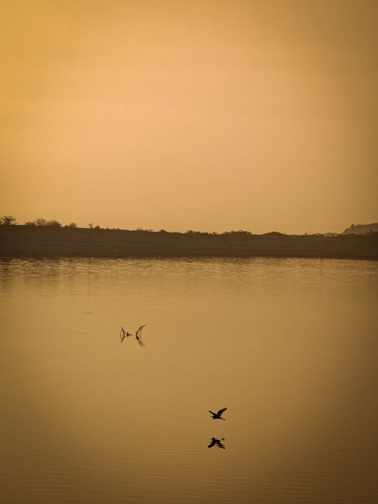 Photograph by Bandhav reddy Cheviti