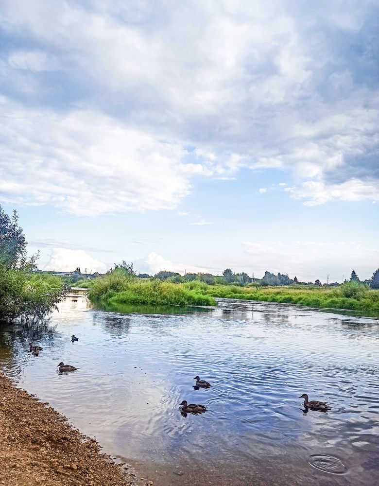 Photograph by Алексей Верхотурцев