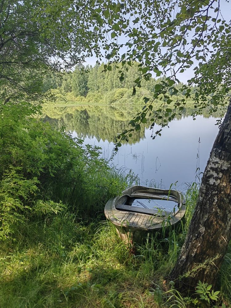 Photograph by Галина Беляева