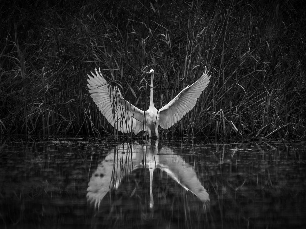 Photograph by Хабаров Сергей