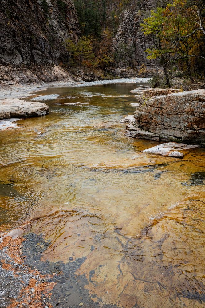 Photograph by Нестеренко Виктория