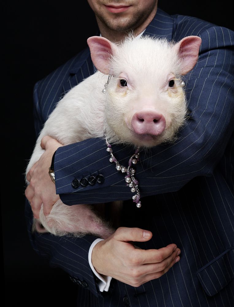 Photograph by Игорь Сахаров