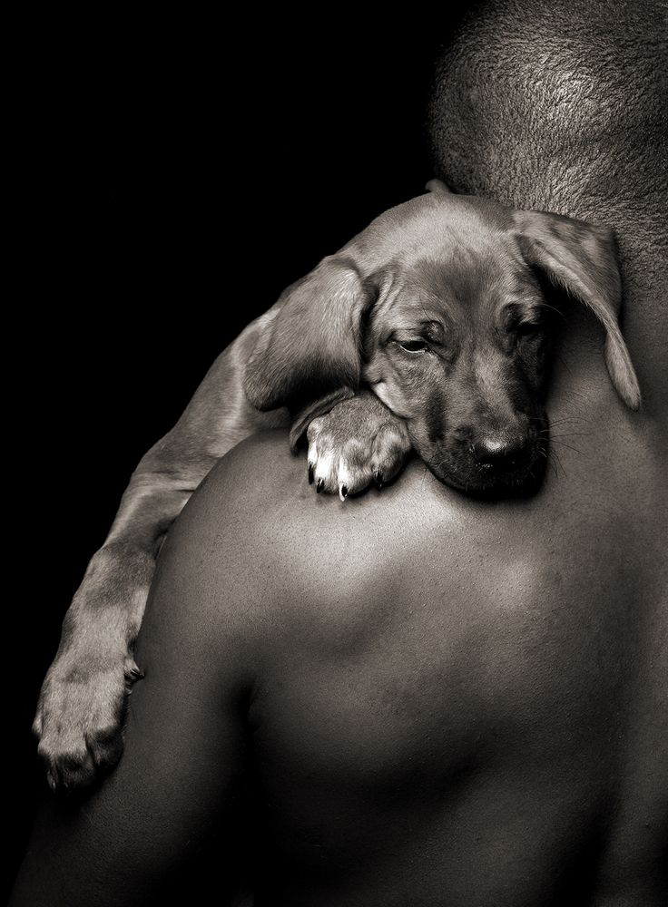 Photograph by Игорь Сахаров