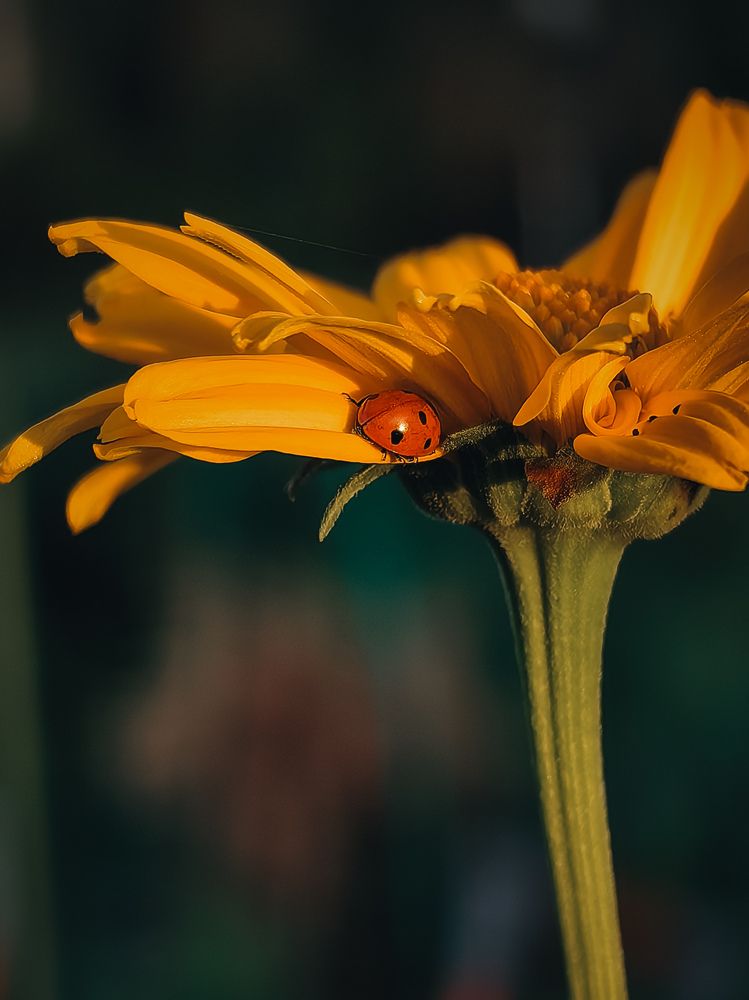 Photograph by Татьяна Котова