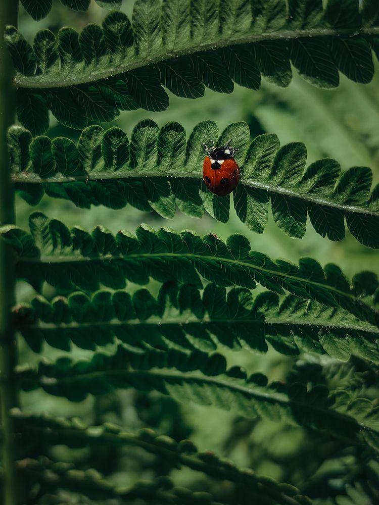 Photograph by Татьяна Котова