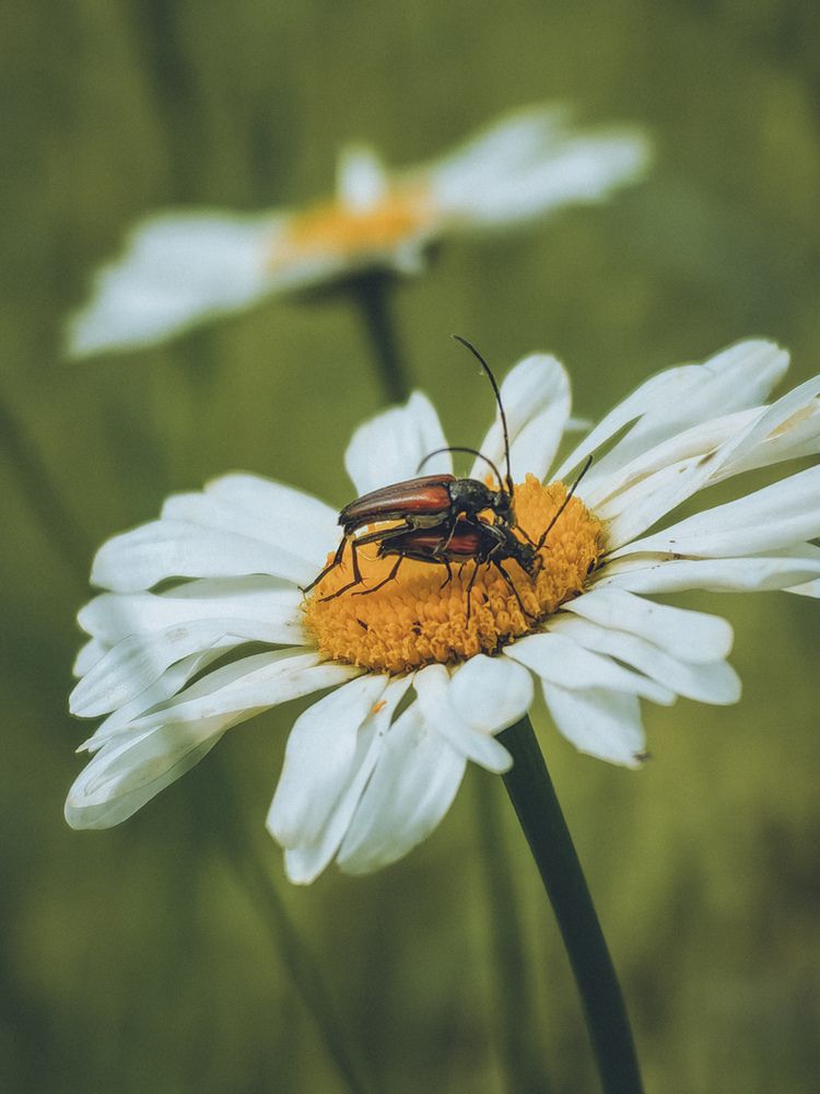 Photograph by Татьяна Котова