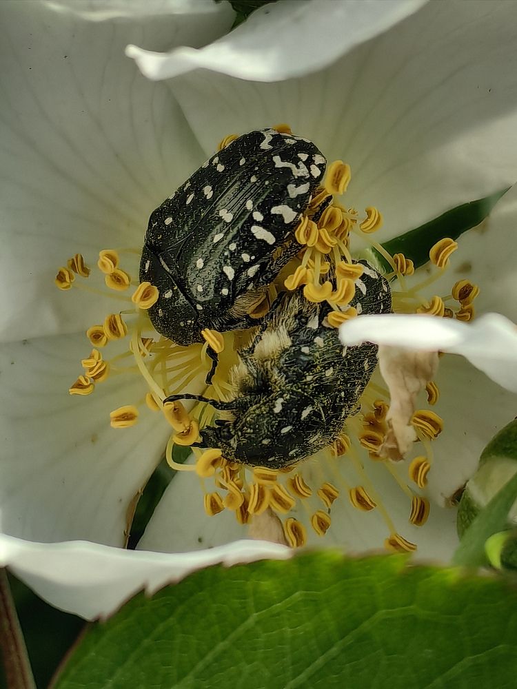 Photograph by Татьяна Котова