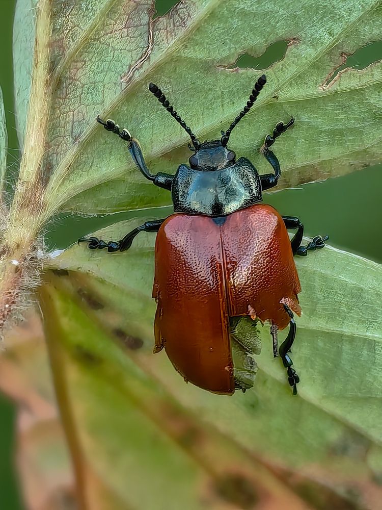 Photograph by Татьяна Котова