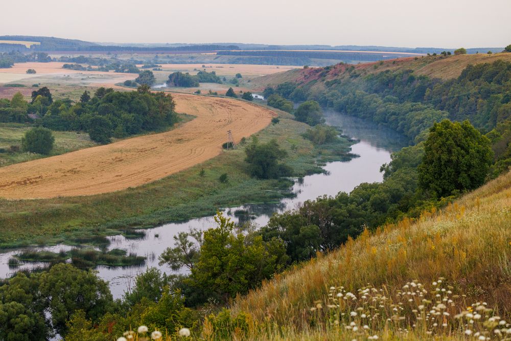 Photograph by Сергей Старых