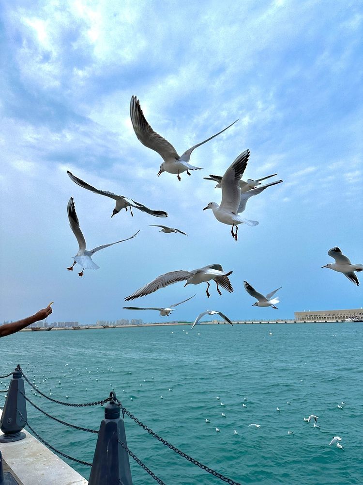 Photograph by Rowan Shalaby