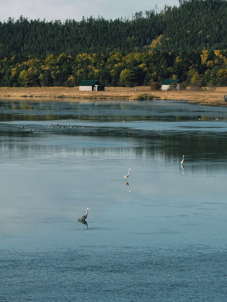 Photograph by Elena Menshikova