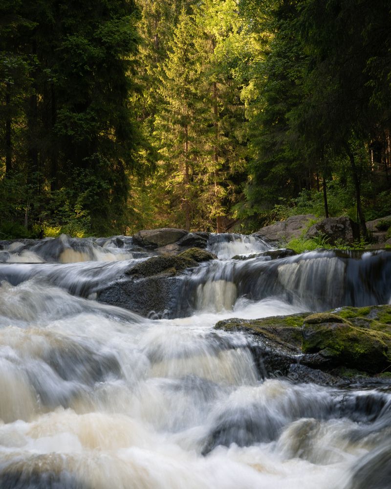 Фотография автора Serge