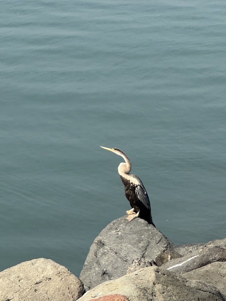 Photograph by Aarya Patel