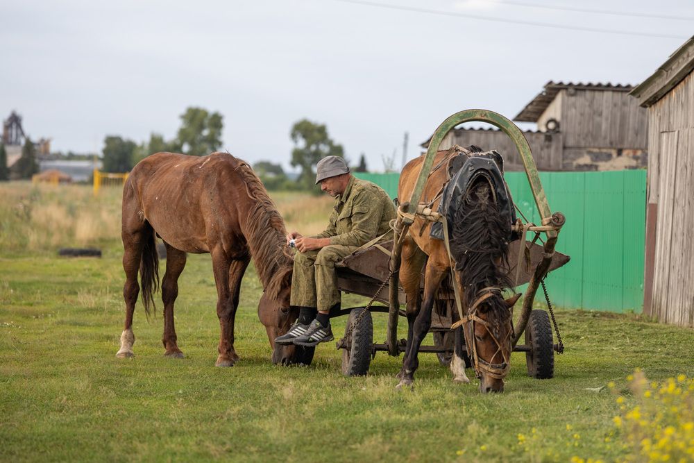 Photograph by Людмила Аксенова