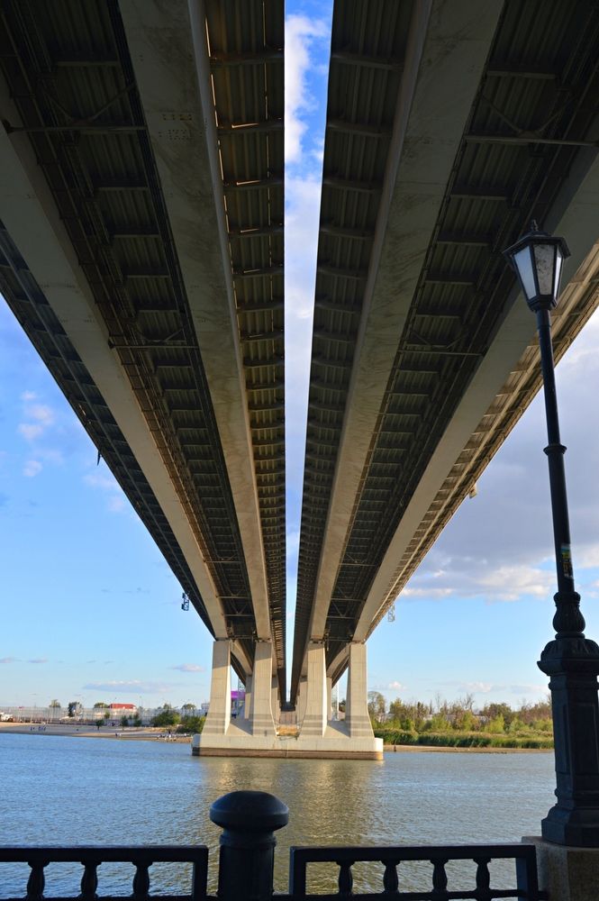 Фотография автора Ольга Шевцова