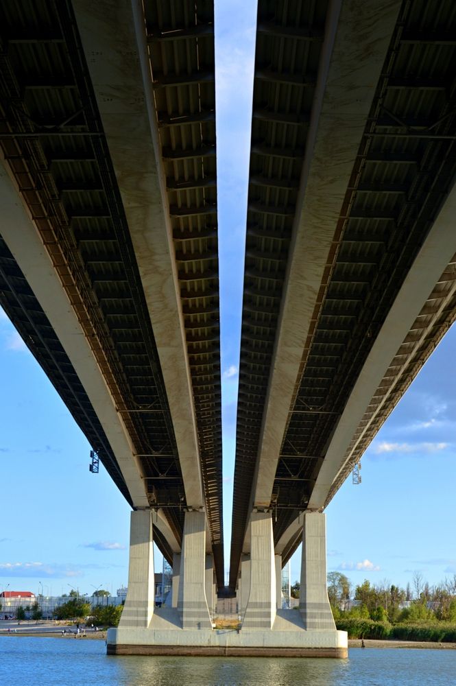 Фотография автора Ольга Шевцова