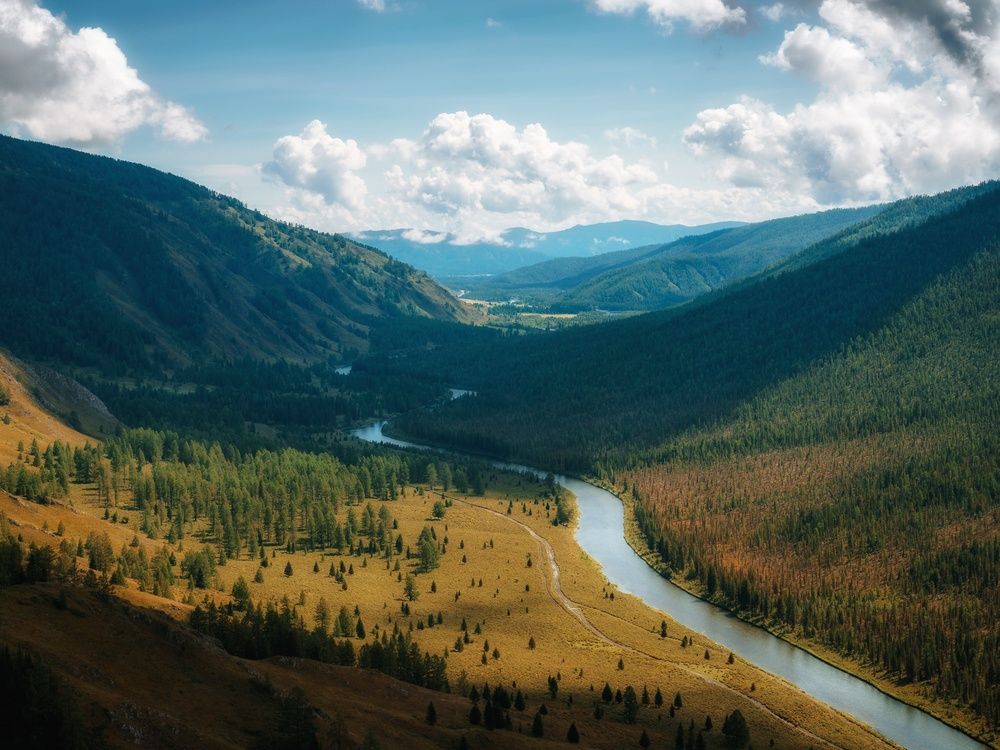 Фотография автора Serge