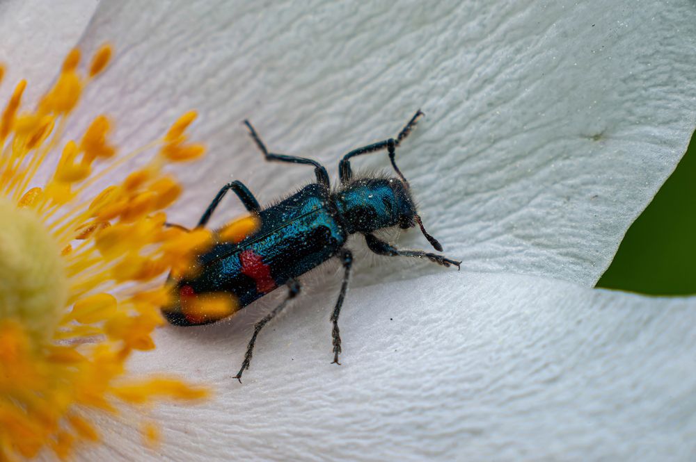 Photograph by Вадим Басов