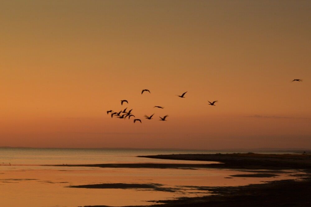 Фотография автора Ольга Шевцова