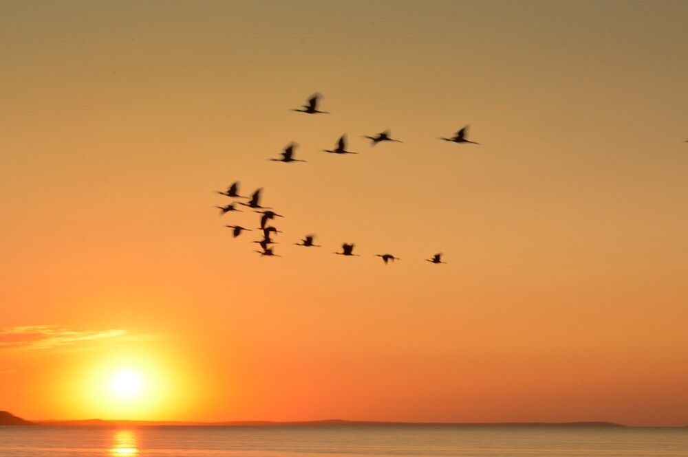 Фотография автора Ольга Шевцова