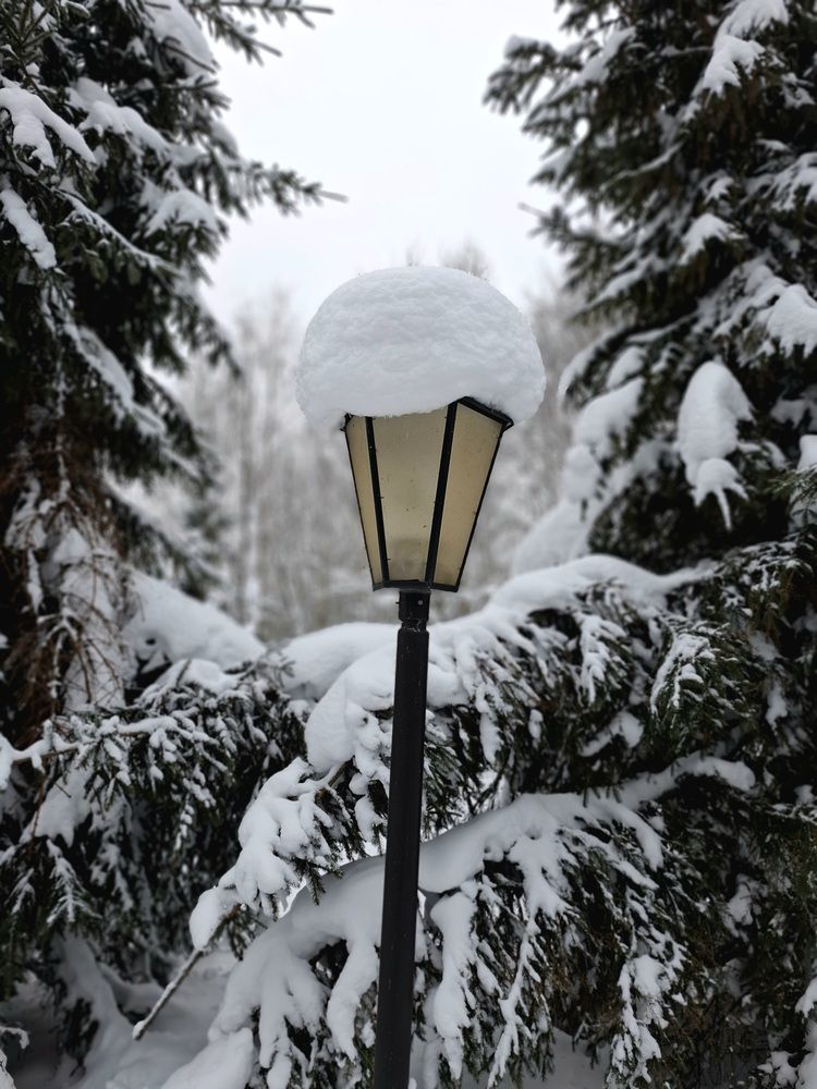 Photo #13246614