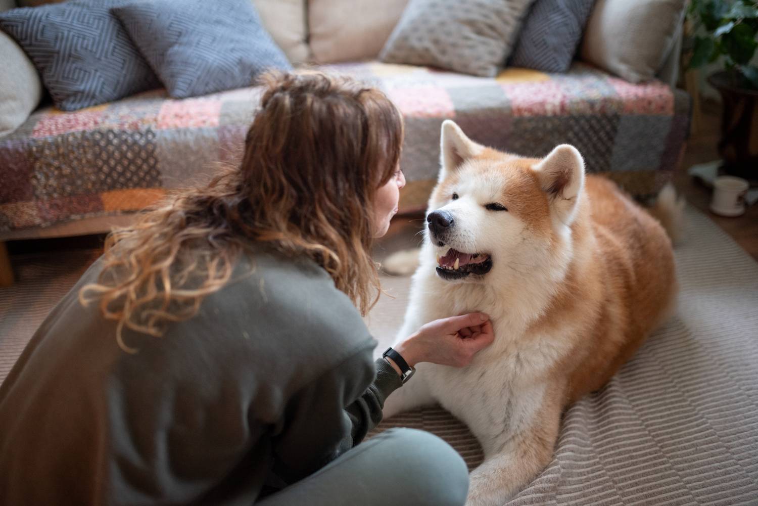 Фотография #13246616