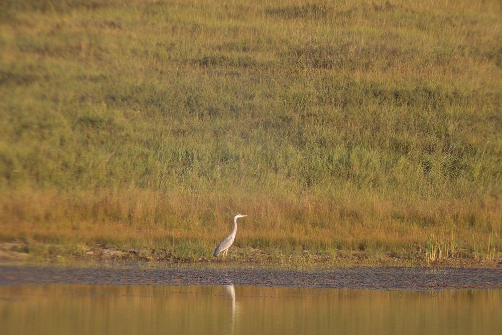 Photograph by Aleksey Maevskiy