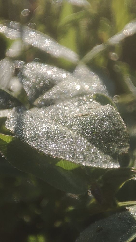 Photograph by Елена