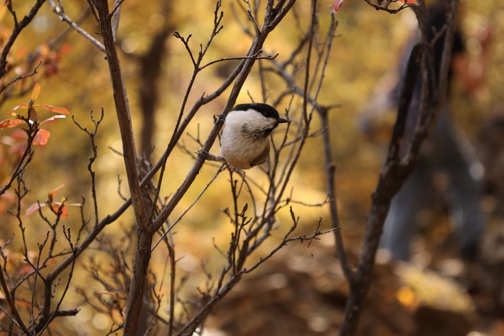 Photograph by Aleksey Maevskiy