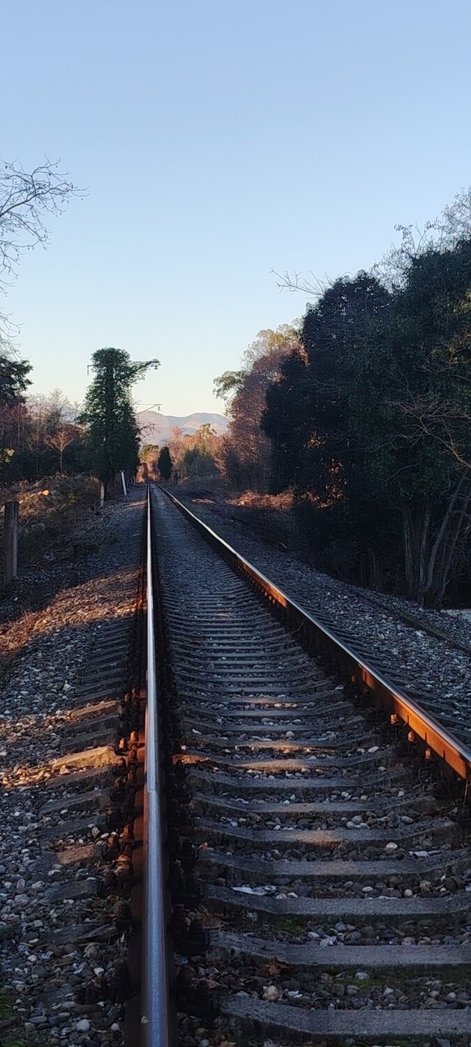 Photo #13246665