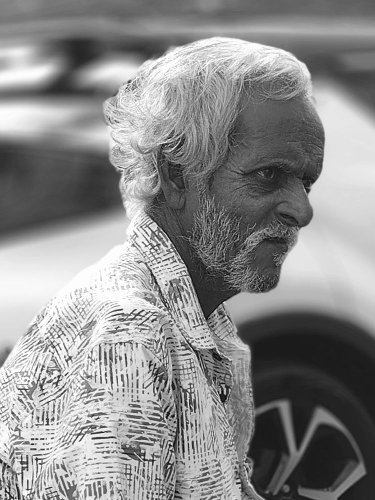 Photo #13246673