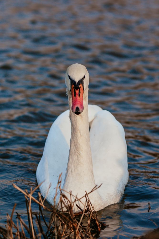 Photograph by Юлия Усольцева
