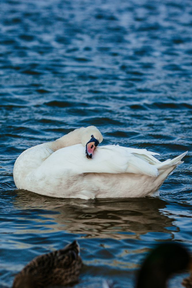 Photograph by Юлия Усольцева