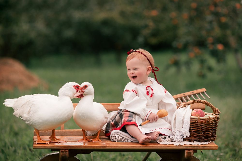 Photograph by Наталья Шевченко