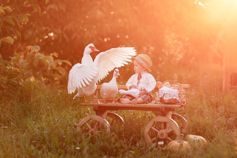 Photograph by Наталья Шевченко