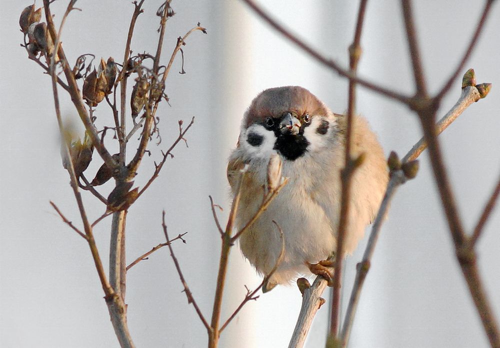 Фотография автора Е лена Е