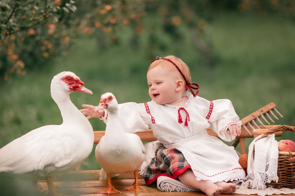 Photograph by Наталья Шевченко