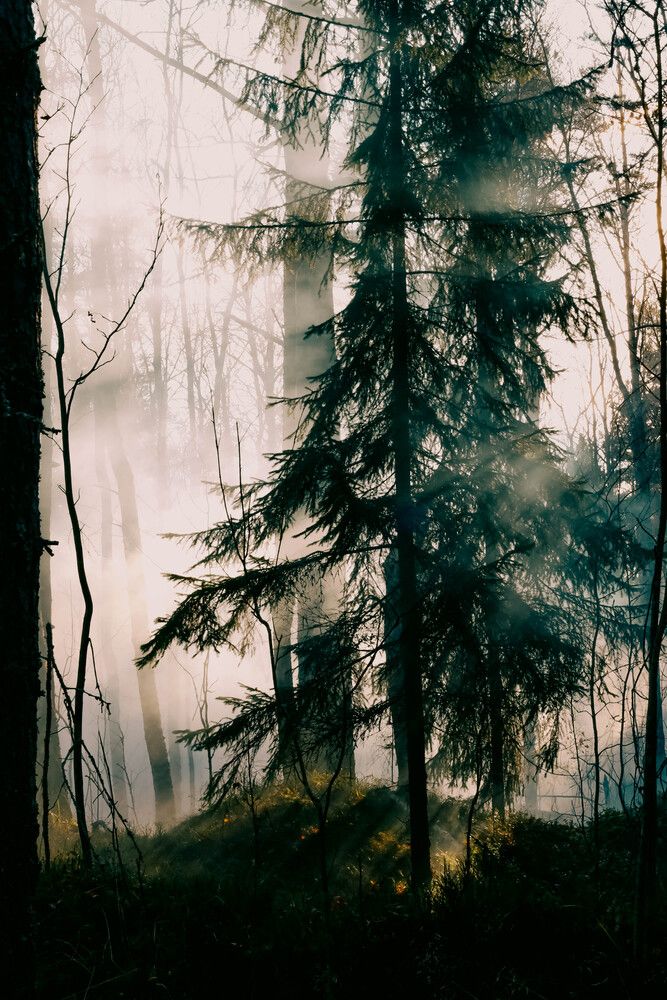 Photograph by Марина Широкова