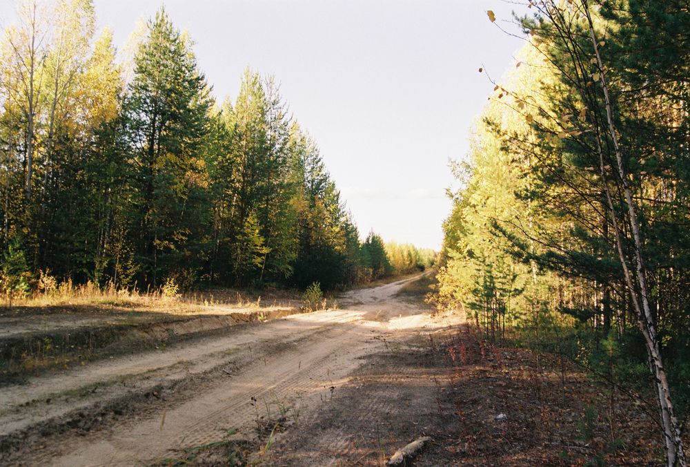 Photograph by Михаил Васьков