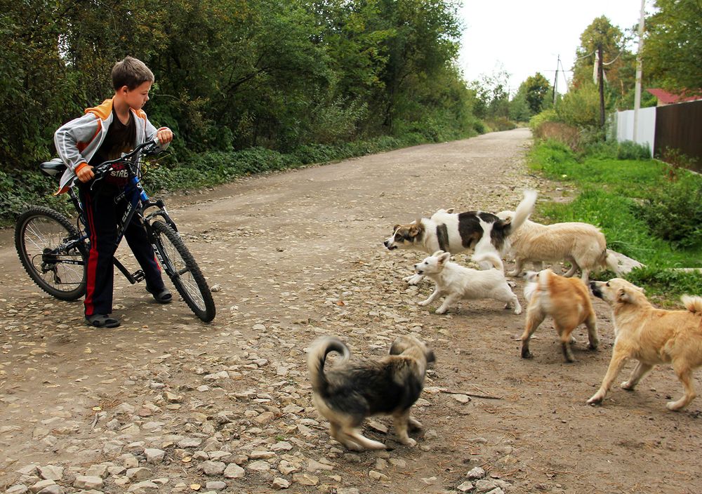 Photograph by Василий Шаля