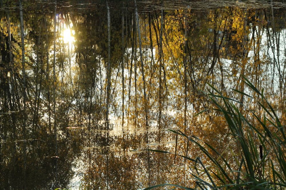 Фотография автора Наталия Козлова