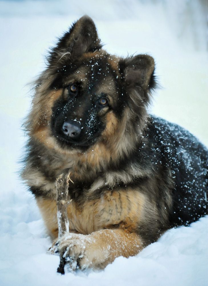 Photograph by Анна Пилипенко